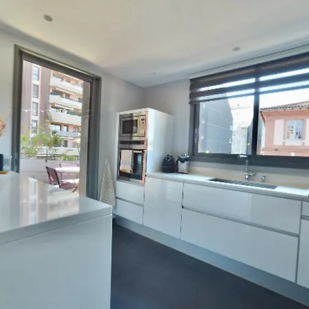 Magnificent With Terrace In Apartment Toulouse