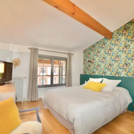 Magnificent With Terrace In Toulouse