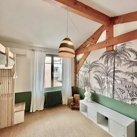 Magnificent With Terrace In Toulouse